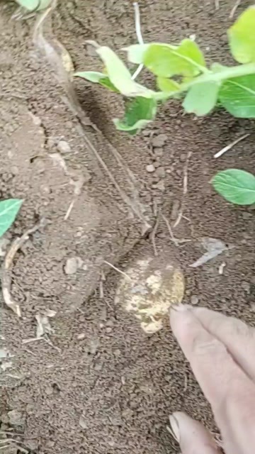 实验一
