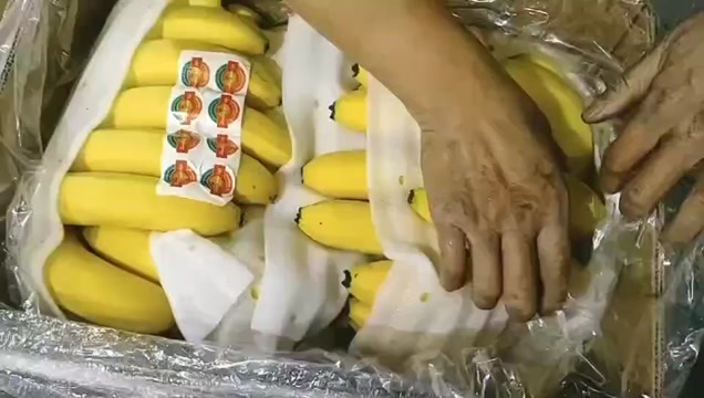 太仓市精品二黄～净重27斤，毛重30斤，规模4-5-6把，果面干净
