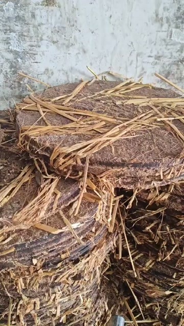 常宁市产地直销茶枯茶麸茶籽饼水产养殖种植肥料大量现货