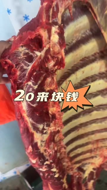 阳信县鲜牛肉