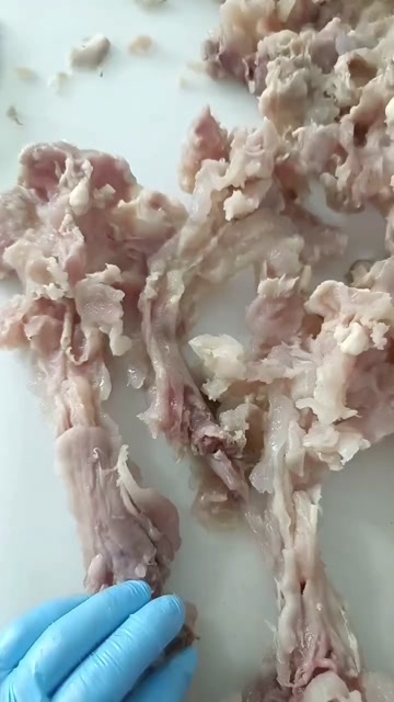阳信县山东阳信优质牛蹄副筋批发供应新鲜健康可追溯