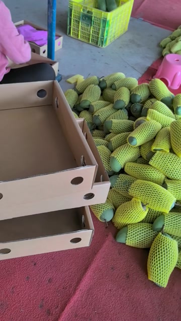 广西百色田东芒果，大金煌，货源充足，1件代发包邮