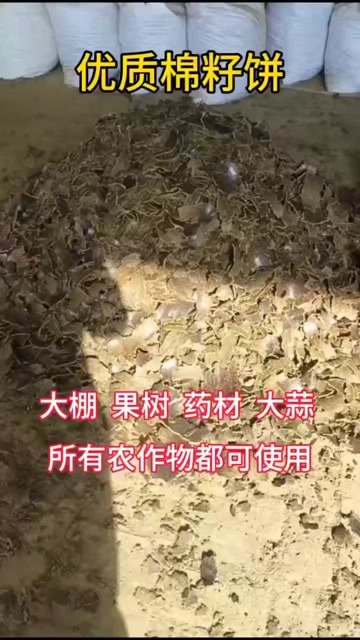 郓城县棉籽饼