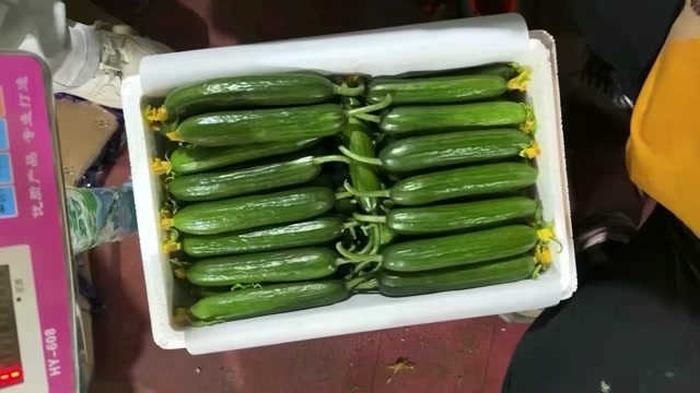 山东寿光新鲜当日采摘水果黄瓜，对接各大电商平台，超市