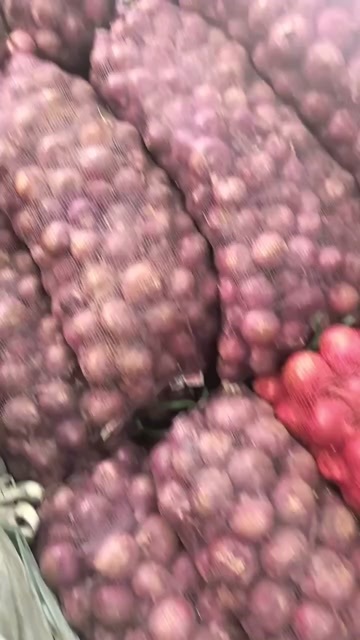 曹县洋葱价格不高要的联系