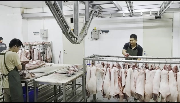 深圳深圳热鲜猪肉猪扒后腿肉各种热鲜高品质部位散货优质货源龙岗直供