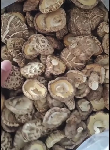 干香菇 菌盖厚实直径3.5-4cm 散装批发