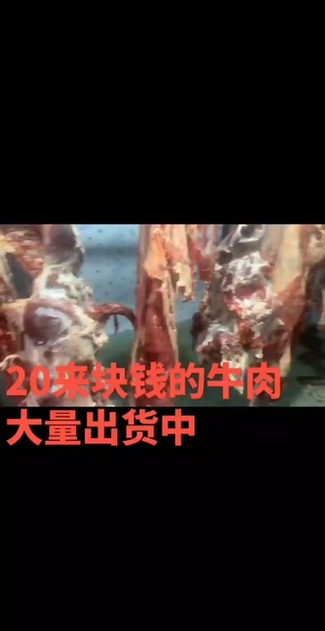 阳信县鲜牛肉