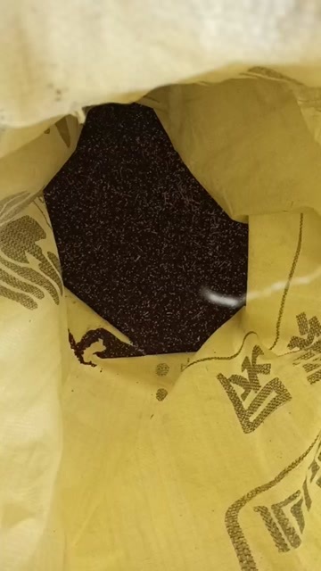 延津县油菜籽，今年新收的油菜籽