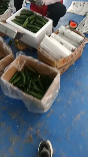 菏泽水果黄瓜