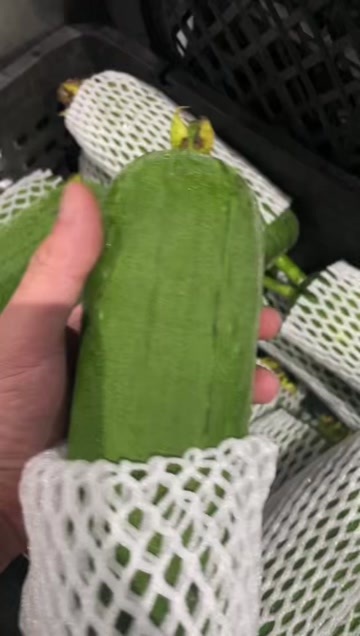 汕头肉丝瓜