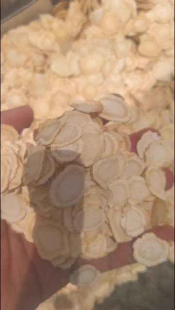 西洋参精选片