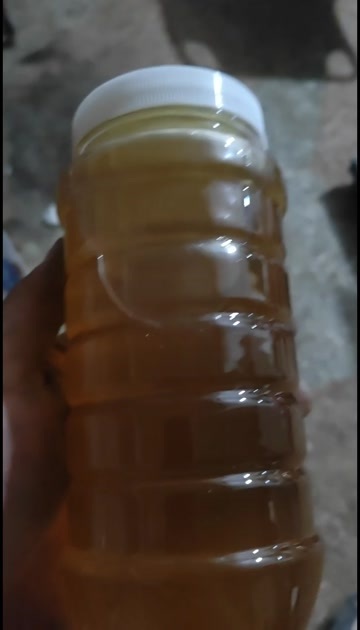 邵东市自家摇的中蜂蜜