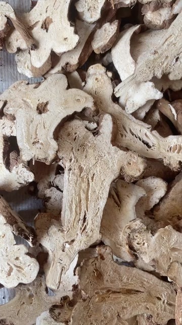 亳州白术