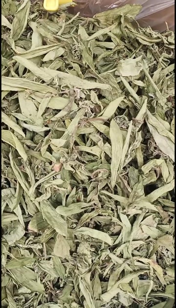 甜菊叶