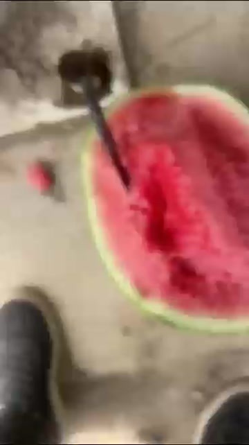 青铜峡市宁夏西瓜开始接单了