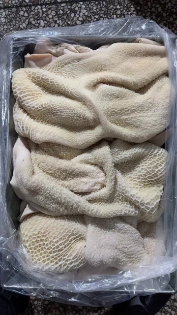 大厂县国产牛肚，飞水七八成熟，一整个带金钱肚
