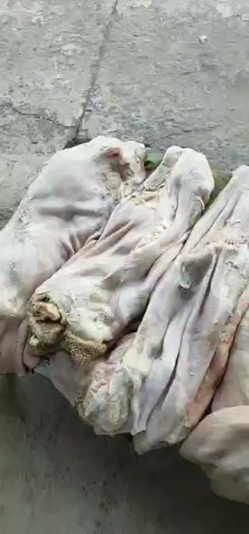 呼和浩特牛黑毛肚
