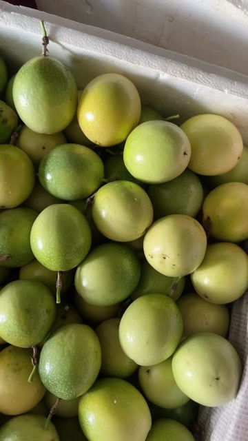 湛江黄金百香果