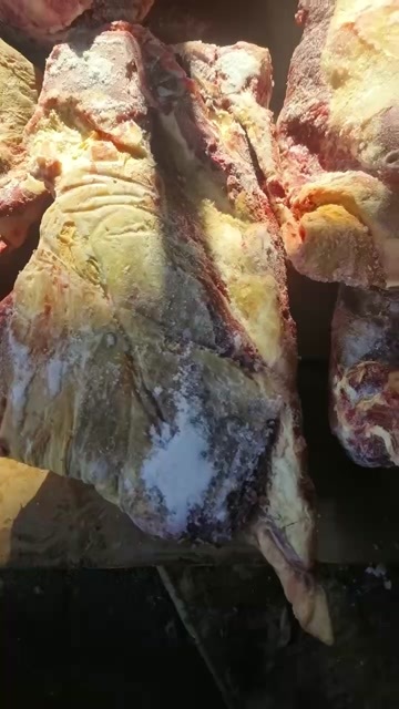 河间市牛排骨 牛排锅食材