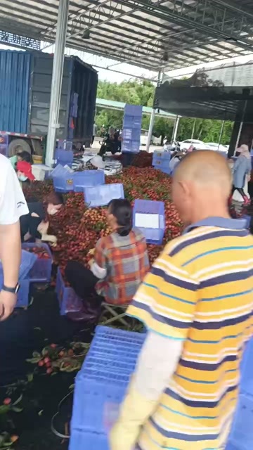 阳西县双肩玉荷包