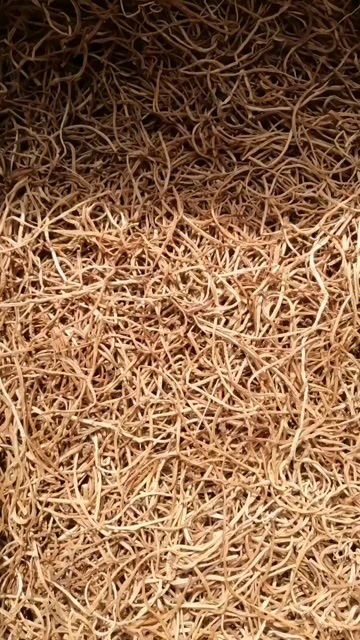 地瓜梗 红薯梗，朝鲜族咸菜原料，长寿菜
