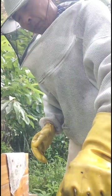 攸县出售中蜂土蜂蜜