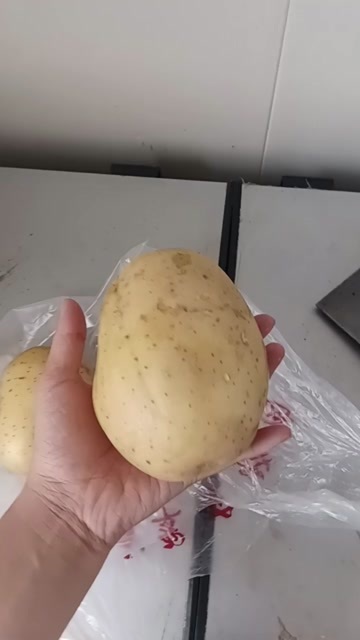 高密市黄心大土豆，绵密口感很好