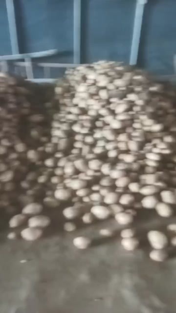 胶州市绿色食品，