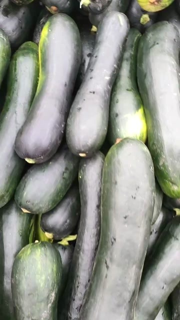 兰陵县冬瓜