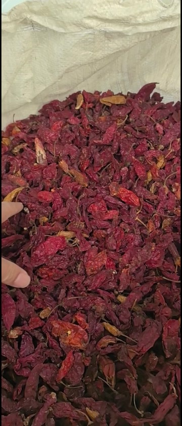 高辣辣椒