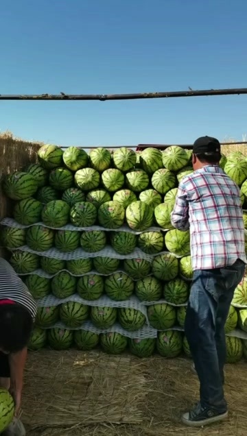 中卫精品宁夏硒砂瓜，大量上市，质量三包，支持售后服务