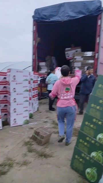 东台市精品无籽