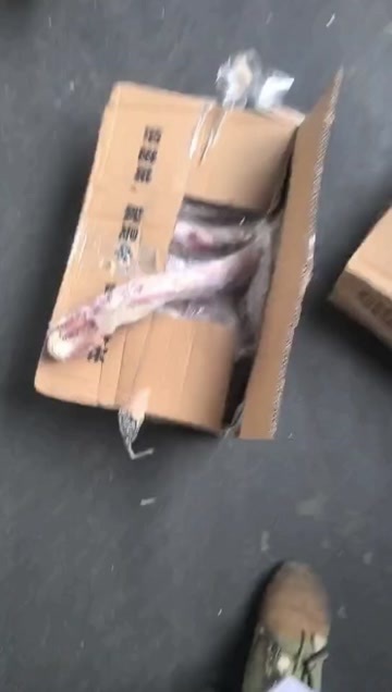 庆云县4750牛尾