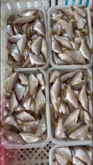 剥皮鱼
