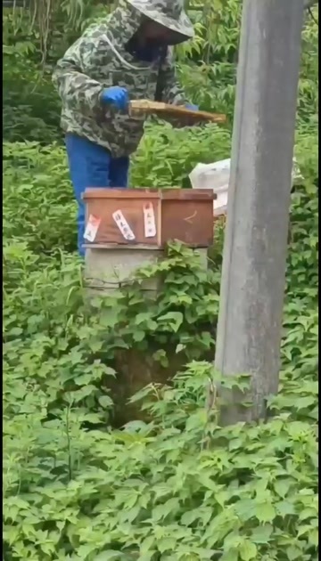 筠连县【天然土蜂蜜】农家自产，无加工 采自深山百花