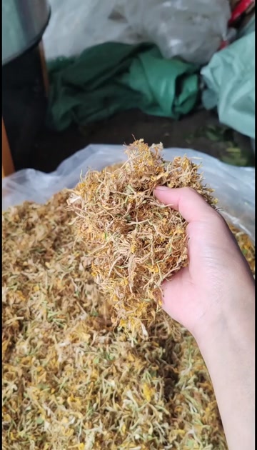 金银花纯花，颜色漂亮，花香扑鼻