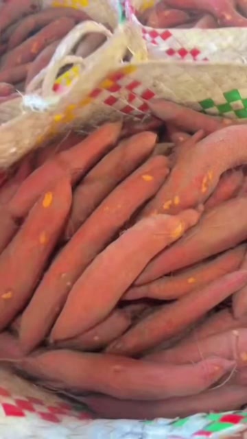 漳浦县红薯上市