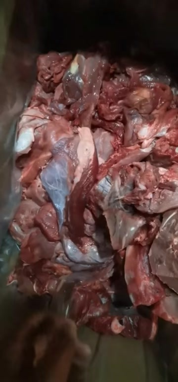 济南牛犊碎肉块形大肉质嫩优质山东发全国