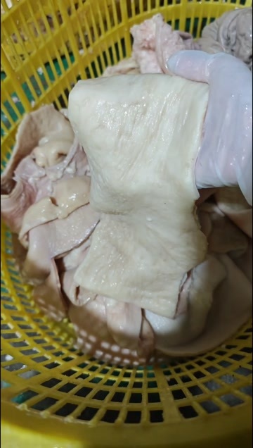 大厂县开边大肠，牛大肠，精修去油，七八成熟