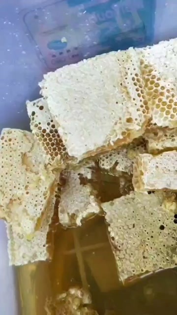 赣南寻乌，大山里的纯野生蜂蜜巢可以直接吃的蜂巢。500g一盒