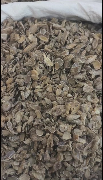 精选优质郁金 当季新货 质地饱满中药材高含量【假一赔十】