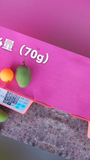 广西百色田东小台农甜芒，自家果园直供货，一件发货