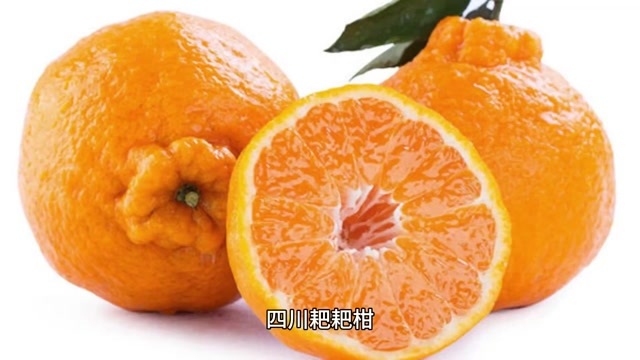 仁寿县四川耙耙柑，果肉清甜多汁，口感细腻。