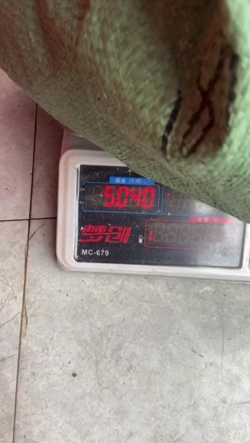连南县紫花地胆头，不带叶，量大价优