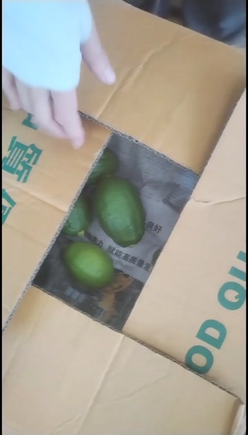 怀集县广东无籽香水柠檬