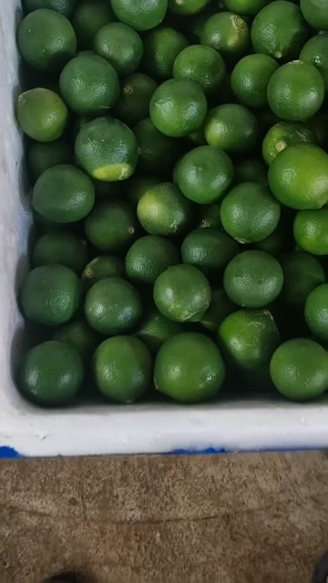 小青柑鲜果