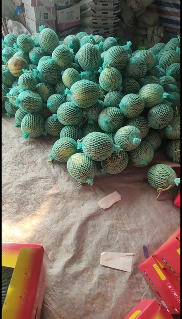 武功县麒麟瓜