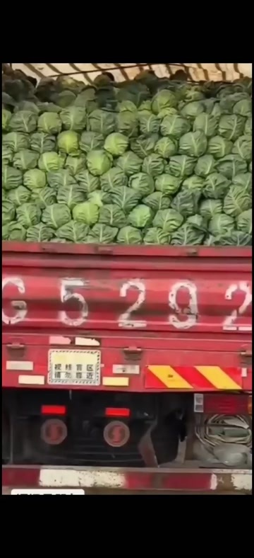 西吉县中甘系列