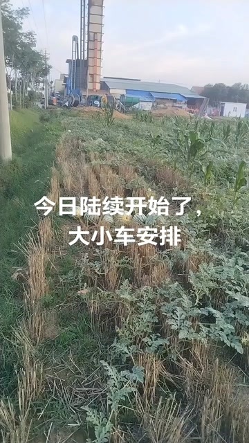 濉溪县头茬美都西瓜